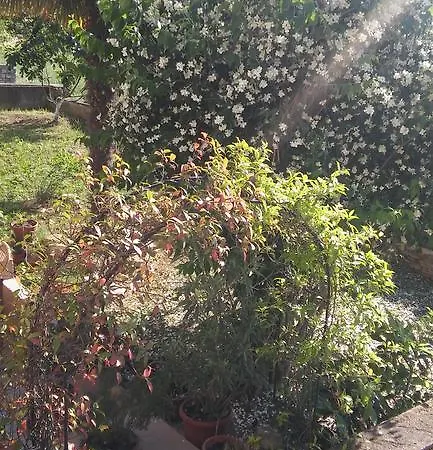 Apartament Oasis