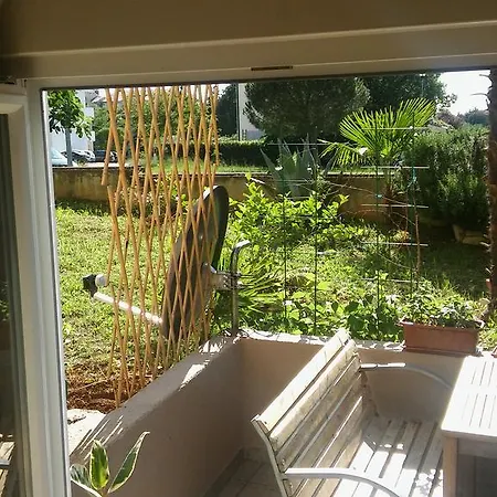Oasis